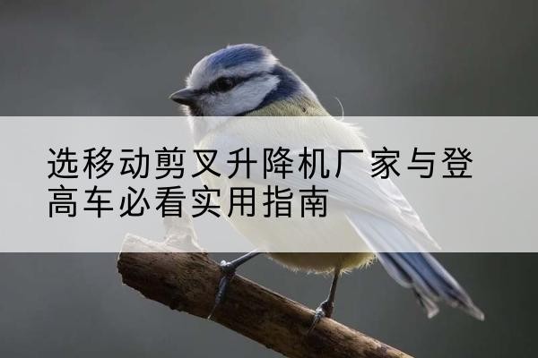 金城江电动升降机厂家-选移动剪叉升降机厂家与登高车必看实用指南