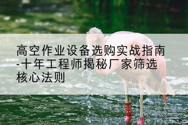 金城江剪叉式升降机厂家-高空作业设备选购实战指南-十年工程师揭秘厂家筛选核心法则
