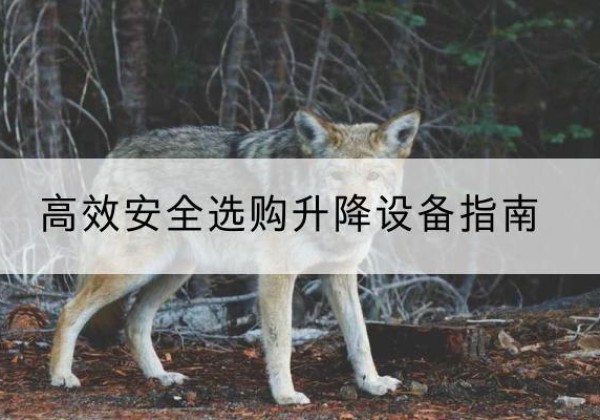 金城江升降货梯厂家推荐-*安全选购升降设备指南