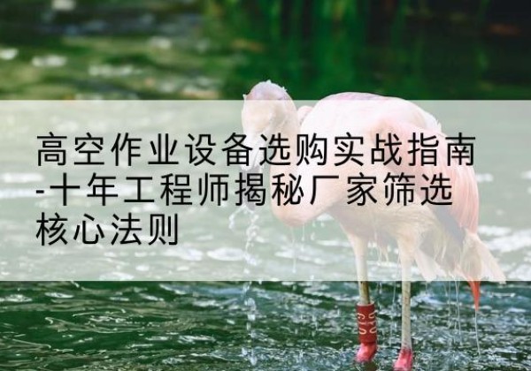 金城江剪叉式升降机厂家-高空作业设备选购实战指南-十年工程师揭秘厂家筛选核心法则